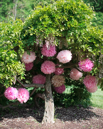 Decora los exteriores