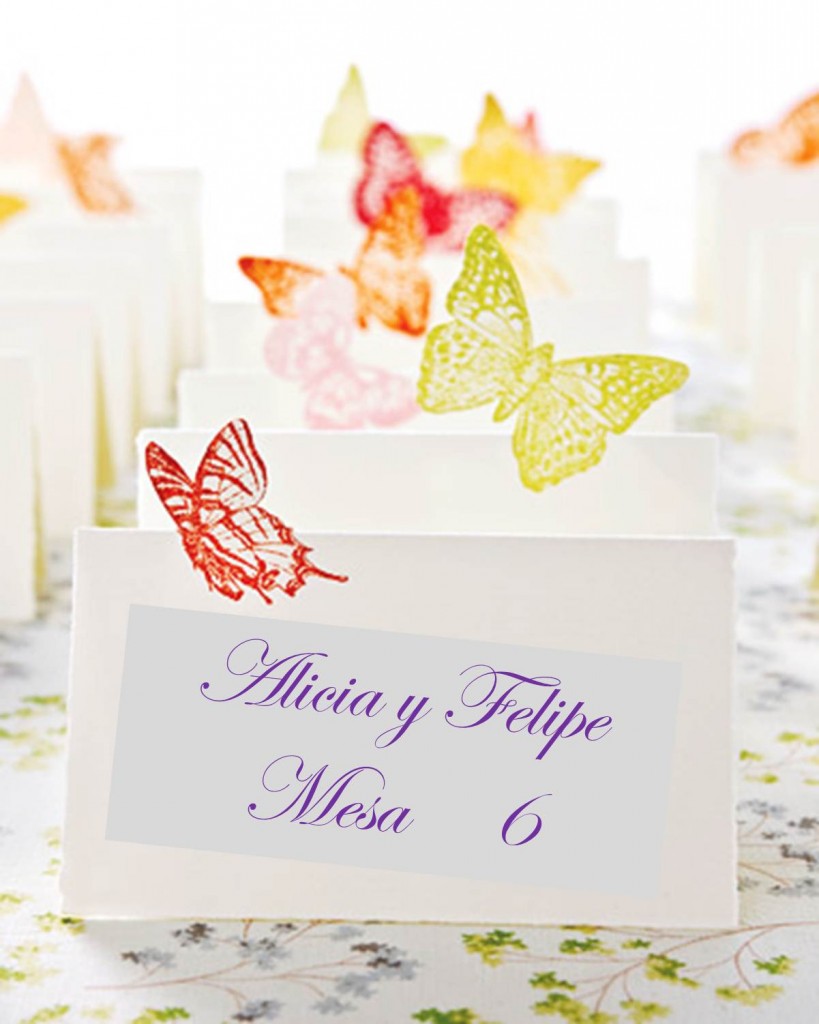 Protocolo con tarjetas individuales